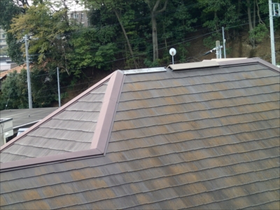 戸塚PB090987.JPG
