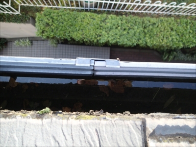 高田PB080937.JPG