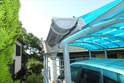 三ッ沢P6193608.JPG