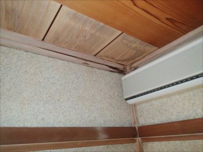 篠原PA100121.JPG
