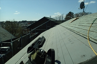 神奈川区-エコグラーニ005.JPG