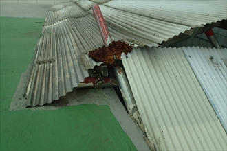 神奈川区‐コンテナ014.JPG