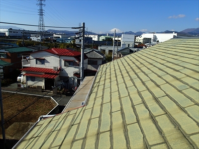 秦野PB261324.JPG