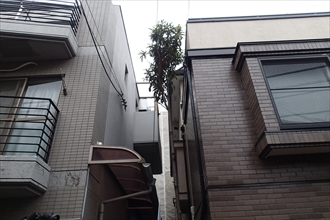 西区-大型雪止め007.JPG