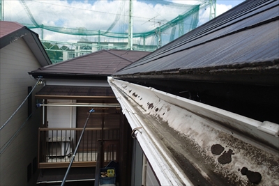 【雨樋破損　グンバイDL-55】西区　北軽井沢　火災共済