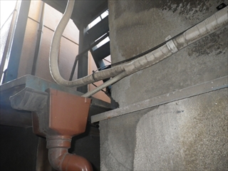 西区RIMG0090.JPG