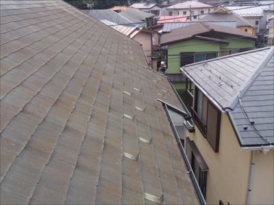 落ち葉除け対策。エスロネット設置、川崎、多摩地区。