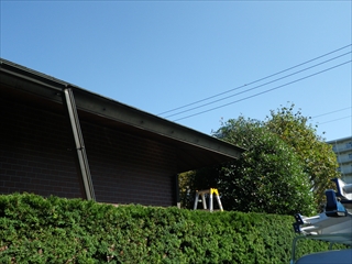 泉区RIMG0245.JPG