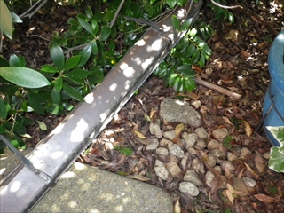 泉区RIMG0247.JPG