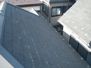 相模原市RIMG0863.JPG