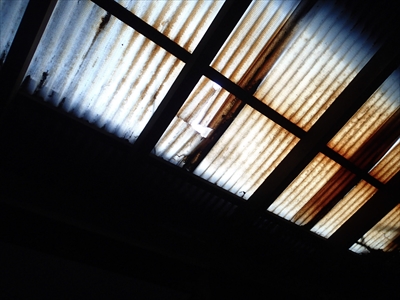大田区PC051647.JPG