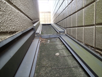 大豆戸PA090074.JPG