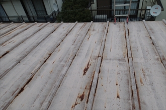 中区-瓦棒屋根点検003.JPG