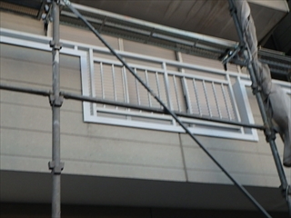中区PB270114.JPG