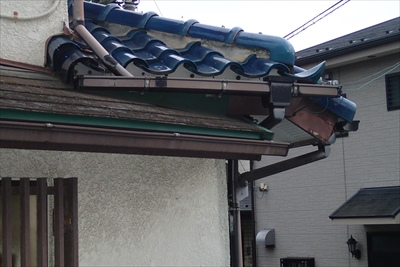 仲手原P7073848.JPG