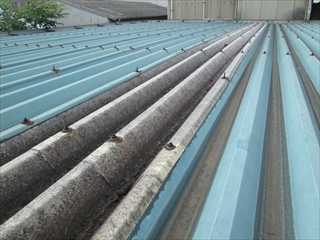 鶴見区IMG_0944.JPG