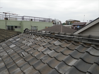 鶴見区RIMG0144.JPG
