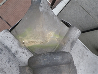 鶴見区RIMG0161.JPG