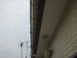鶴IMG_0783.JPG