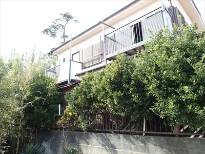 二宮P3101276.JPG