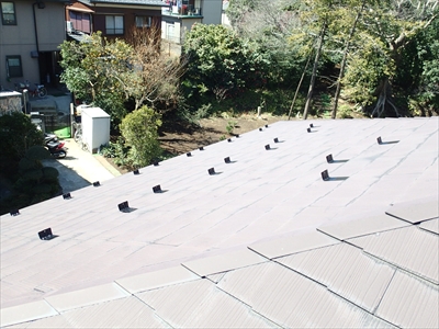 保土ヶ谷P3221583.JPG