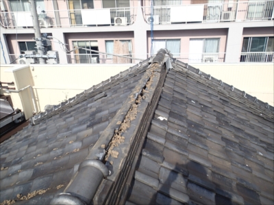 野毛PA180343.JPG