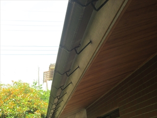 弥生台IMG_0562.JPG