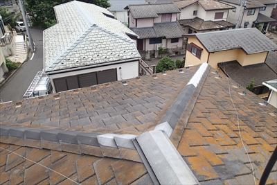 矢部町P7153927.JPG