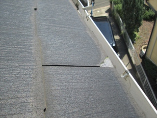 緑区IMG_1842.JPG