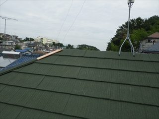 緑区RIMG0107.JPG