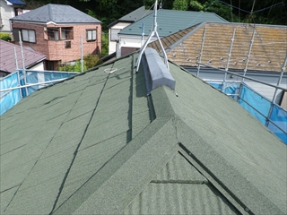 緑区RIMG0121.JPG