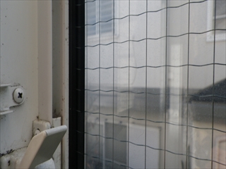 緑区RIMG0860.JPG