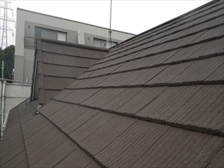 緑区RIMG0905.JPG