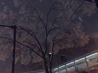 【棟板金破損！雪害】旭区　棟板金交換　