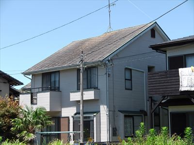 IMGA0139.JPG
