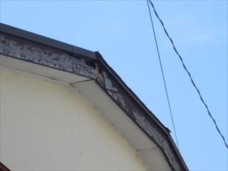 IMG_0567_R.JPG