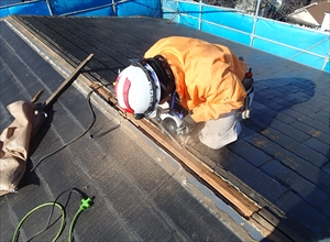 P1130564_R.JPG