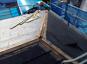 P1130567_R.JPG