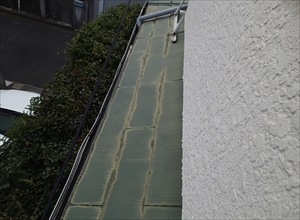 P2010634_R_R.JPG