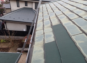 P2010655_R_R.JPG
