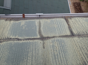 P2010657_R_R.JPG