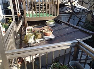 P2230994_R_R.JPG