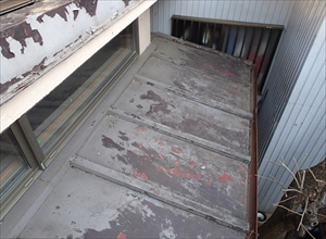 P2230996_R_R.JPG