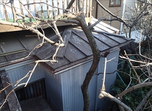 P2231005_R_R.JPG