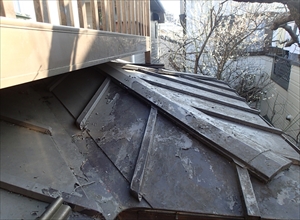 P2231008_R_R.JPG