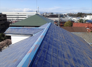P2281020_R.JPG