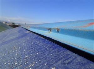 P2281025_R.JPG