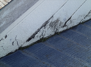 P2281026_R.JPG