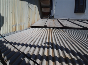 P5091527_R.JPG