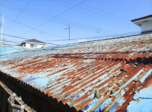 P5091534_R.JPG